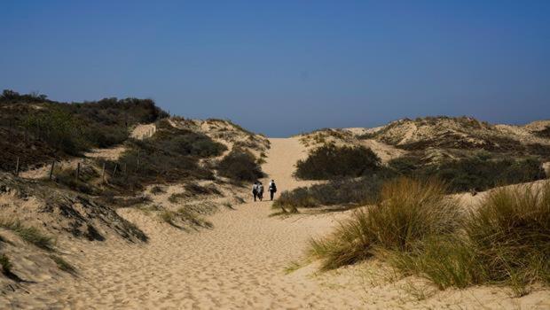 Repos St Elisabeth Villa De Panne Eksteriør billede